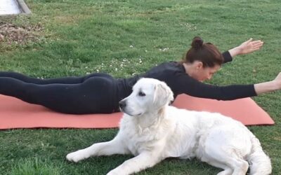 Quante volte alla settimana?