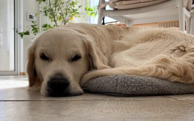 Indolenzimenti muscolari: come attenuarli?